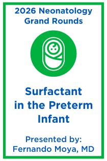 Surfactant in the Preterm Infant Banner