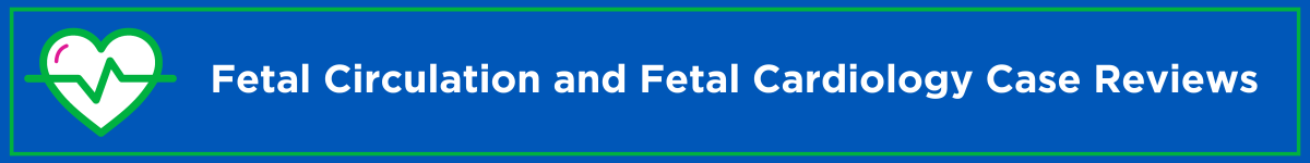 Fetal Cardiac Circulation and Fetal Cardiology Case Reviews Banner