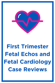 First Trimester Fetal Echocardiograms and Fetal Cardiology Case Reviews Banner