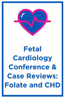 Fetal Cardiology Conference & Case Reviews: Folate and CHD Banner