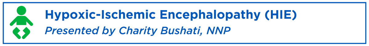 Hypoxic-Ischemic Encephalopathy (HIE) Banner
