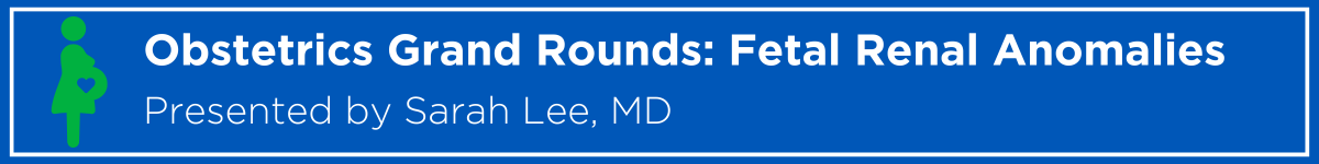 Obstetrics Grand Rounds: Fetal Renal Anomalies Banner