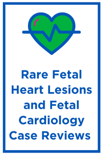 Rare Fetal Heart Lesions and Fetal Cardiology Case Reviews Banner