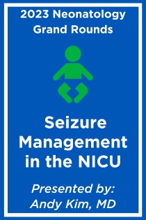 Seizure Management in the NICU Banner