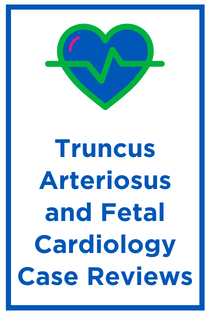Truncus Arteriosus and Fetal Cardiology Case Reviews Banner