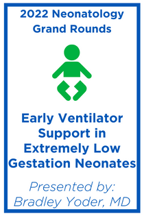 Early Ventilator Support in Extremely Low Gestation Neonates Banner